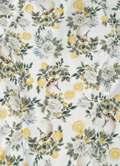 Aqua Blu Shop Teens (8-16)|Bottoms^Lycra Boardshorts Clementine