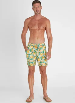 Aqua Blu Bottoms|Bottoms^Dahlia Taylor Shorts